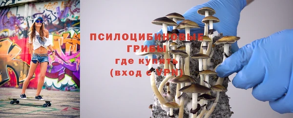 mdma Дмитров