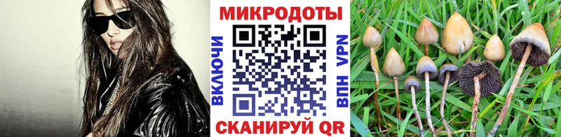 Псилоцибиновые грибы прущие грибы  Ковров 